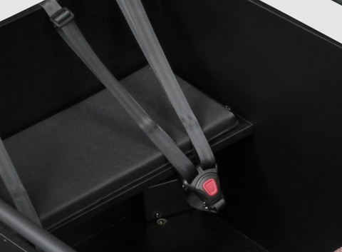 Safety Belts