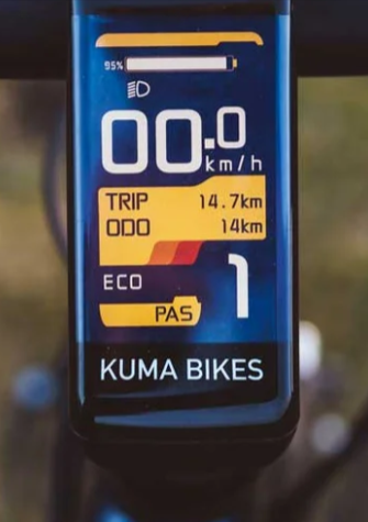 Display Dashboard
