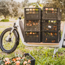 Load image into Gallery viewer, A product image of the Yuba Supercargo bamboo base board, which attaches to the Yuba Supercargo CL electric cargo bike. In the photo there are six plastic crates filled with fruit loaded onto the Bamboo baseboard.