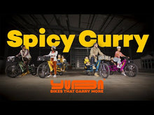 Load and play video in Gallery viewer, A Youtube video displaying the various Yuba Spicy Curry V4 bike models.