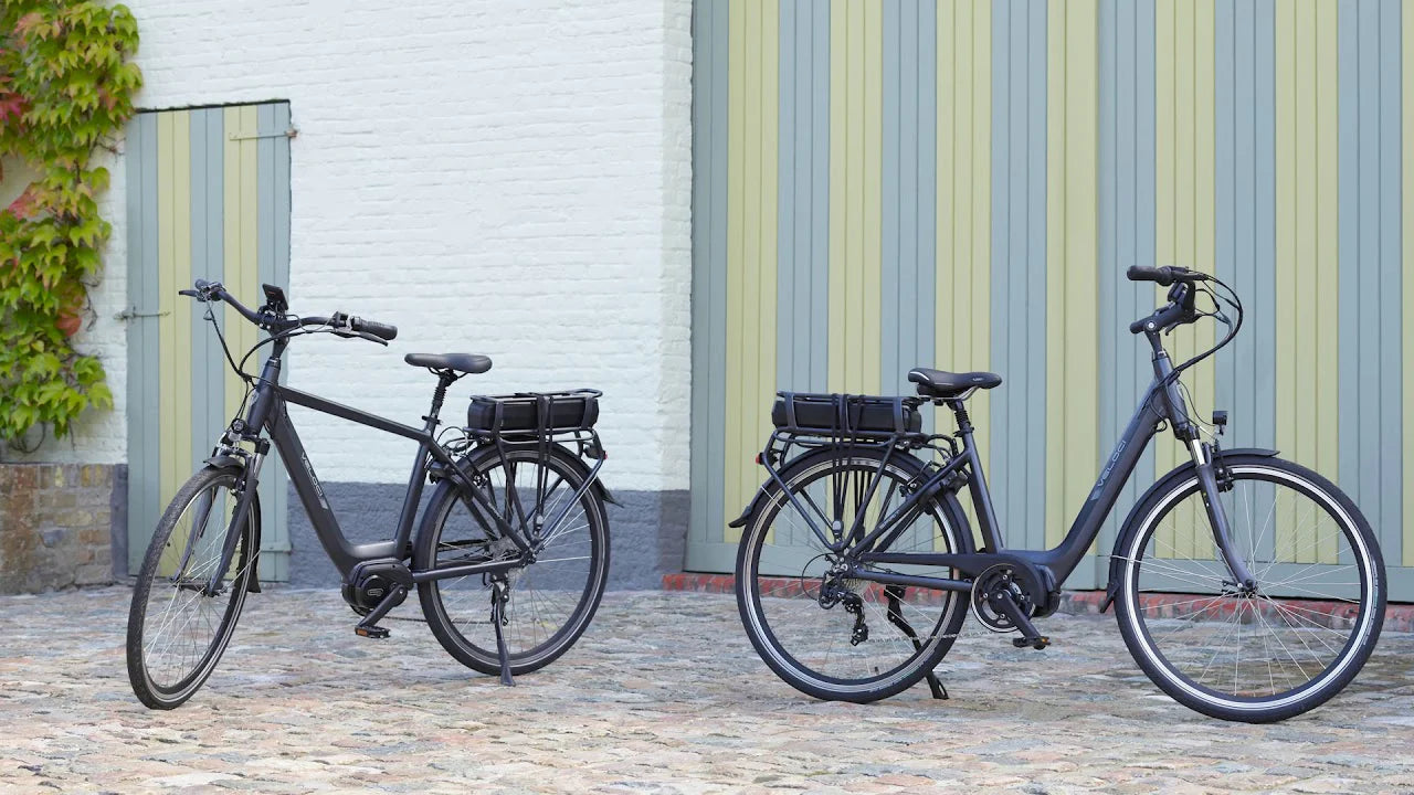 Bimas - Electric Bike Rental from LeaseBike