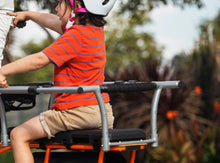Load image into Gallery viewer, Yuba Monkey Bars