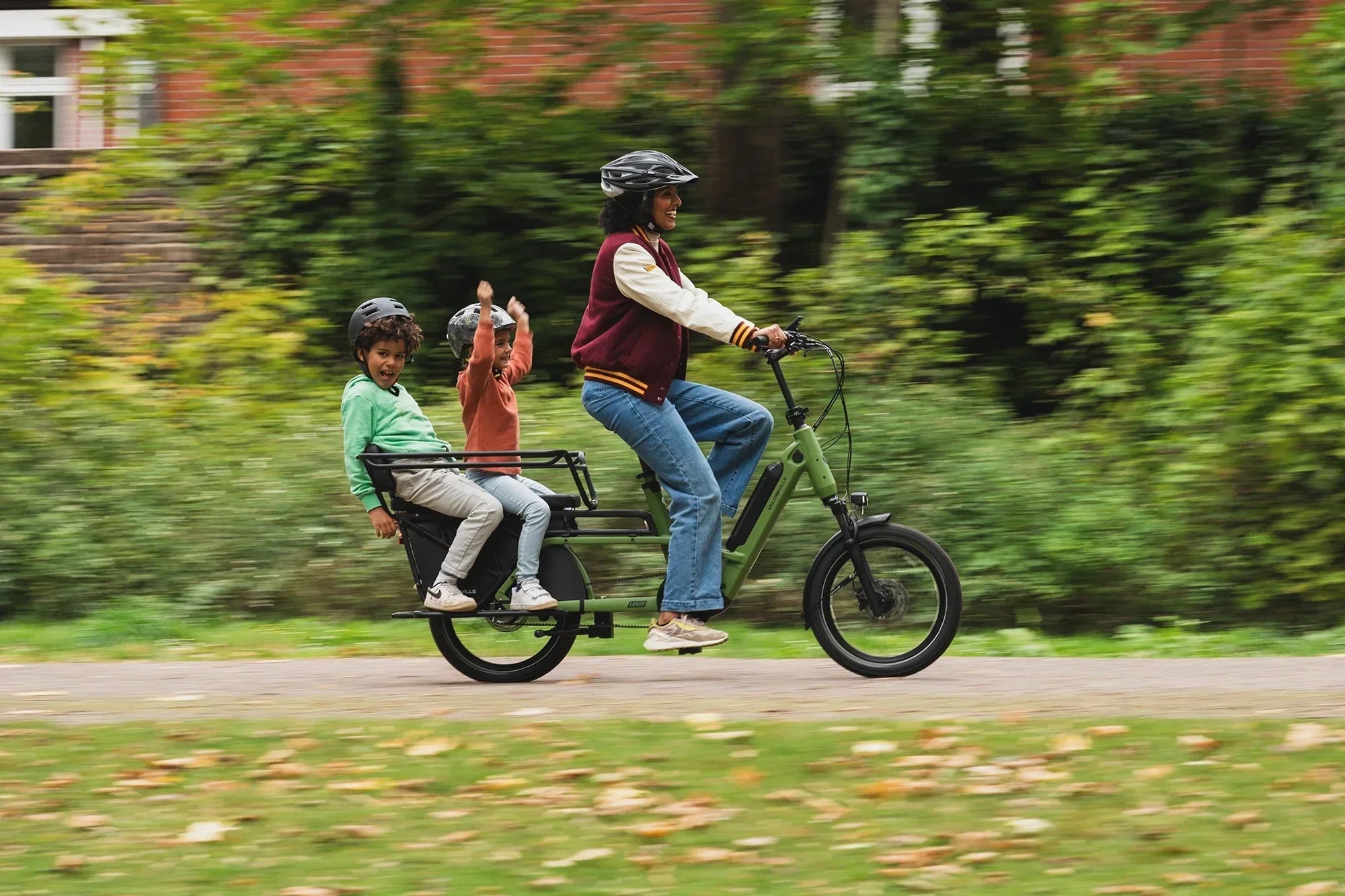 Velo de Ville Loady Electric Cargo Bike