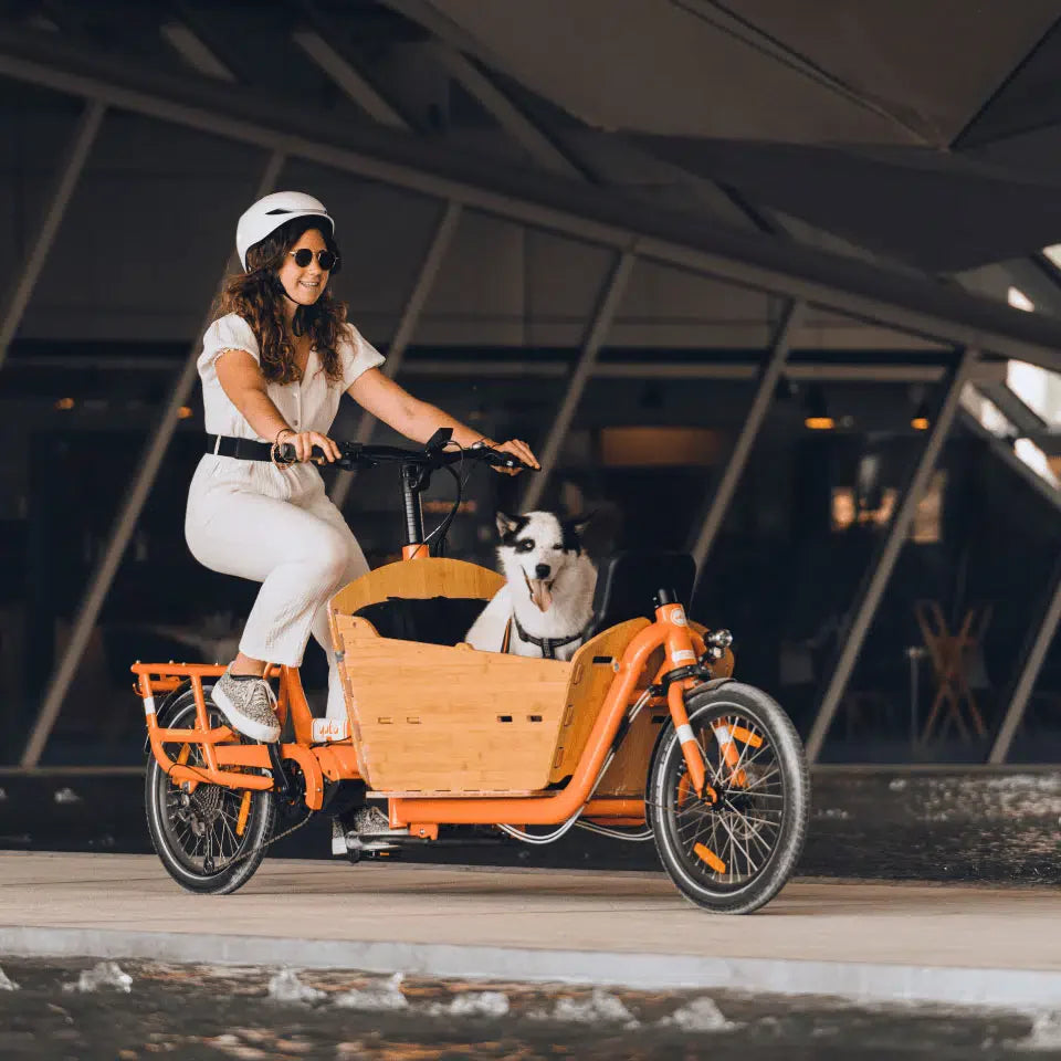 A photo of a Yuba Supercargo CL electric cargo bike with the Bamboo Box installed being cycled through an urban setting by a woman wearing white clothing and sunglasses. There is a white sheepdog sitting in the Bamboo Box as a passenger. The sheepdog is almost entirely white except for a black patch on its right eye and a black patch around either ear. The dog's mouth is open and its tongue is hanging out.