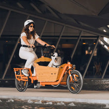 Load image into Gallery viewer, A photo of a Yuba Supercargo CL electric cargo bike with the Bamboo Box installed being cycled through an urban setting by a woman wearing white clothing and sunglasses. There is a white sheepdog sitting in the Bamboo Box as a passenger. The sheepdog is almost entirely white except for a black patch on its right eye and a black patch around either ear. The dog&#39;s mouth is open and its tongue is hanging out.
