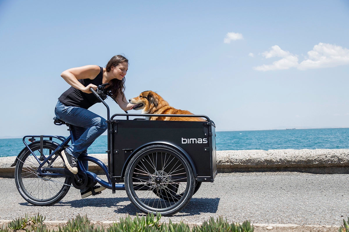 A photo of a woman cycling a dog in a Bimas ecargo electric cargo bike. 