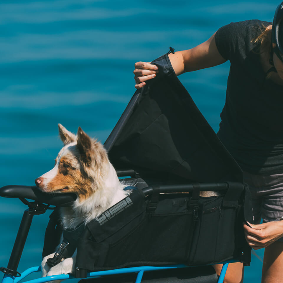 An image showing a dog sitting in a Yuba Wooftop carrier accessory on the rear of a Yuba longtail cargo bike. 