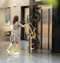 Load image into Gallery viewer, Yuba Fastrack (2025) Cargo Electric Bike

