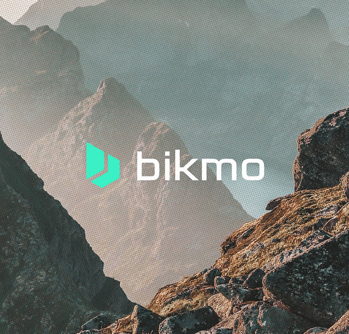 Bikmo Insurance